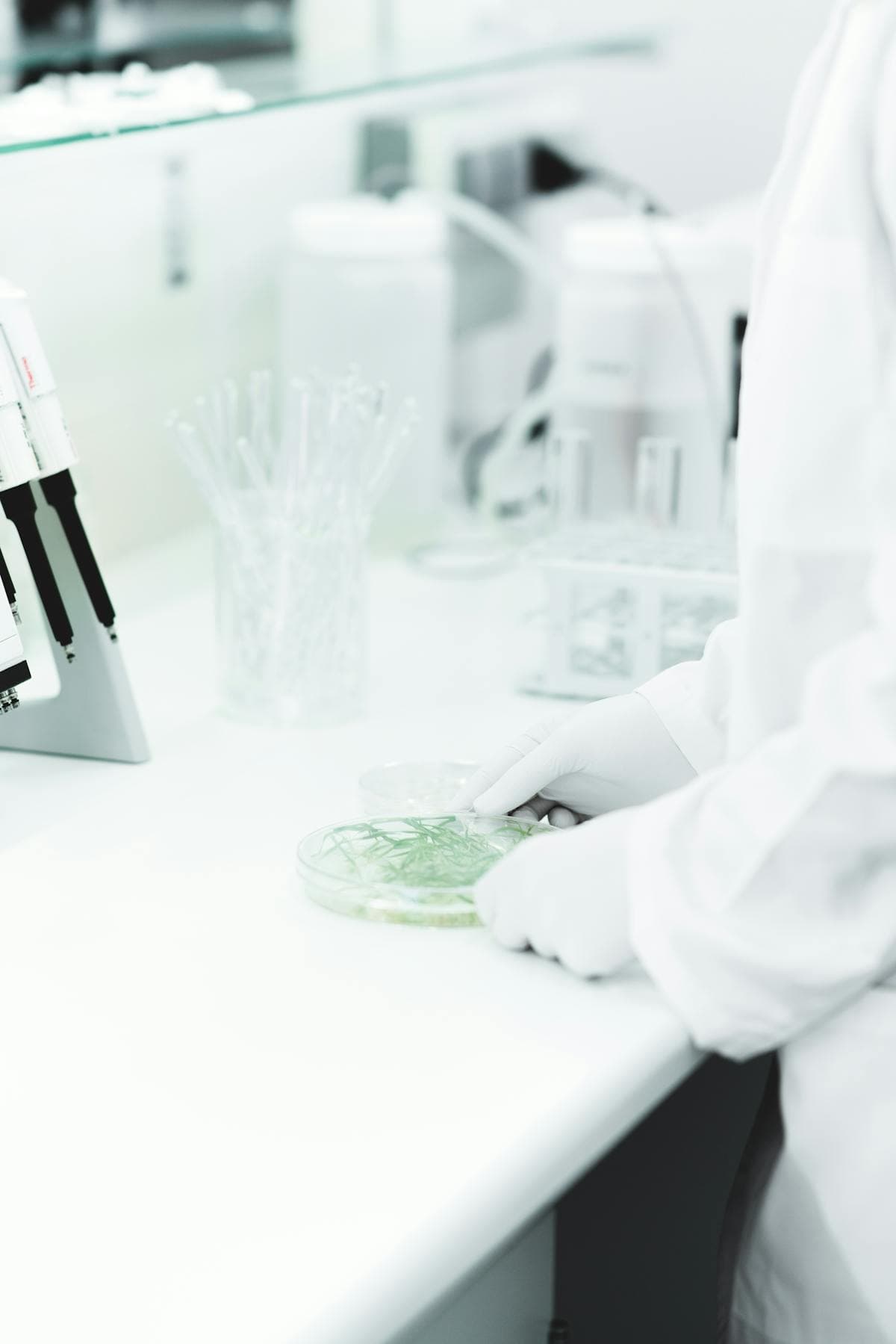 lab-work