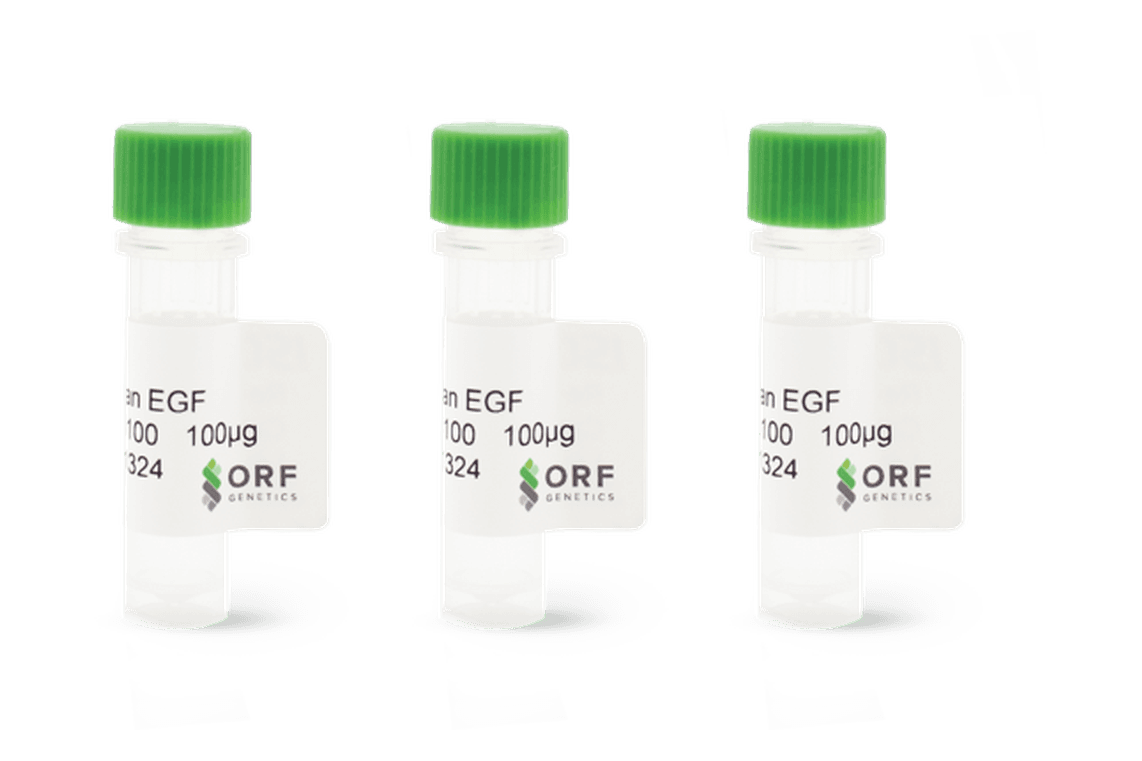 product-images/isokine-packshot-bottles